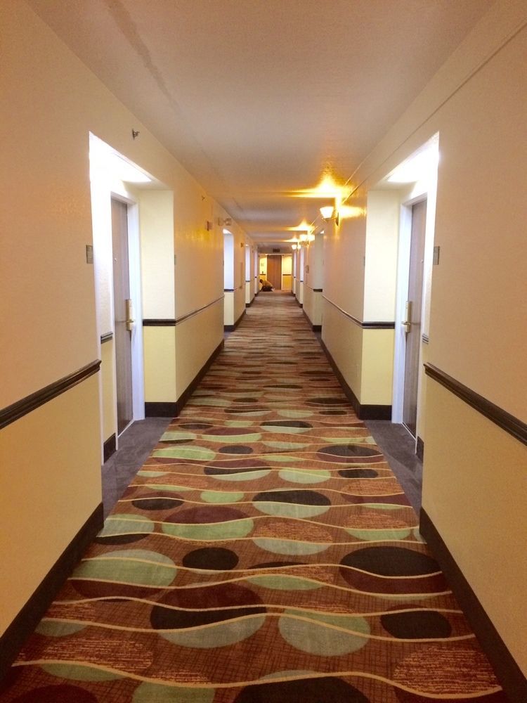 Hotel Tampa-sun Center 2*